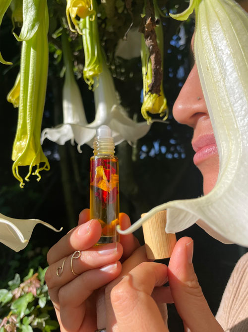 El Olfato: Memoria y Emoción – La Importancia de Cultivarlo en Nuestra Salud